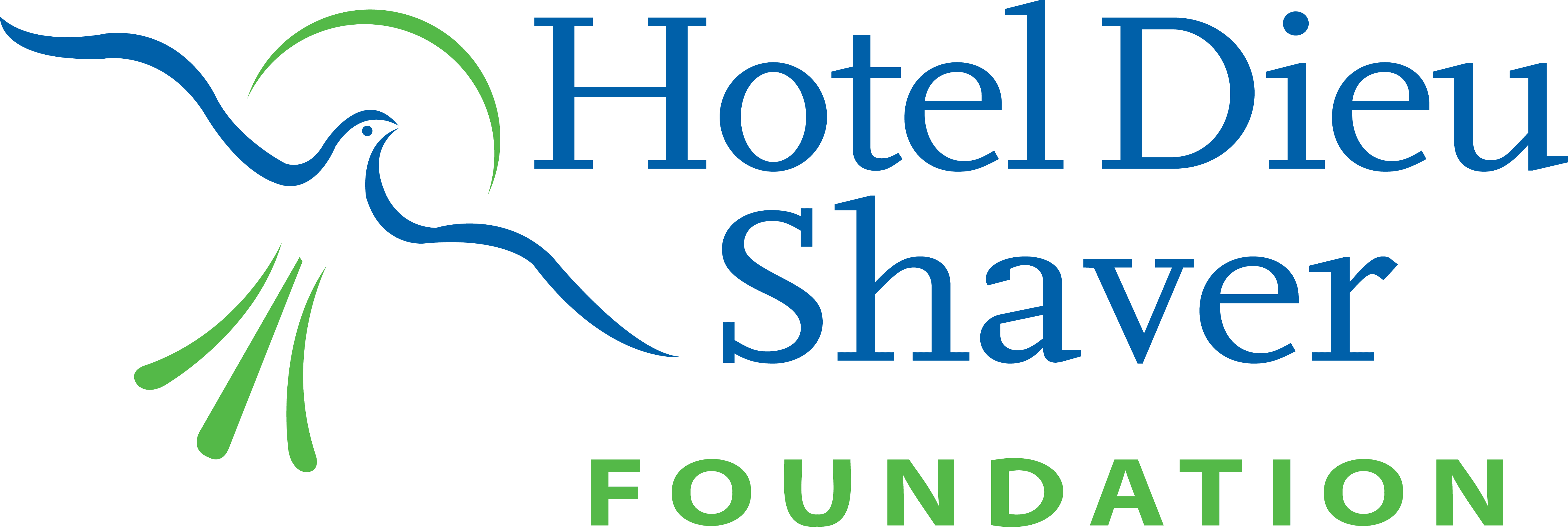 Hotel Dieu Shaver Health And Rehabilitation Foundation 