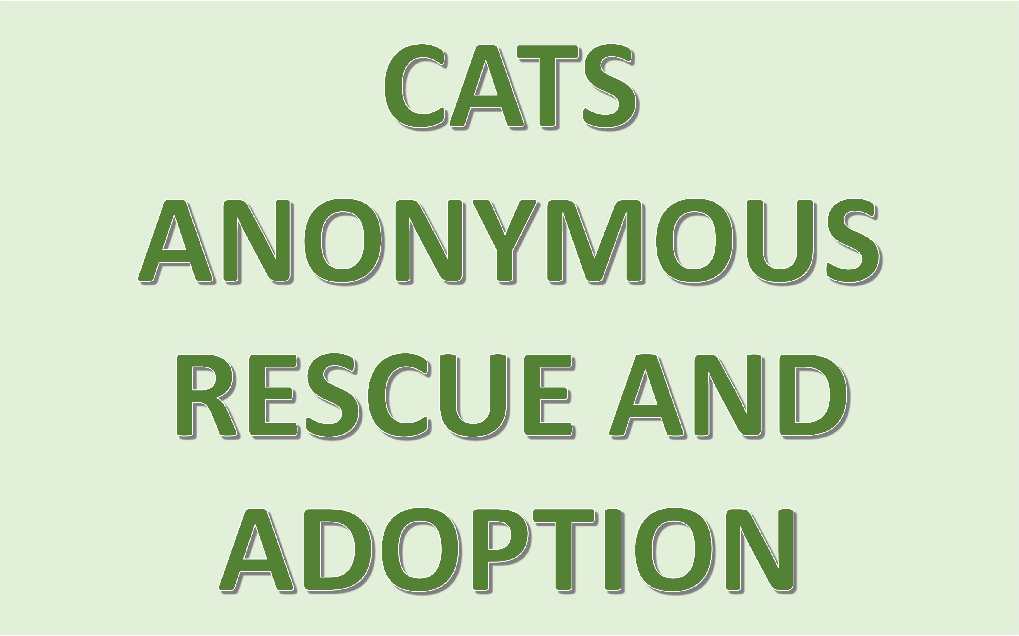 Cats Anonymous Rescue And Adoption 